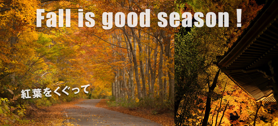 top_fall03.jpg